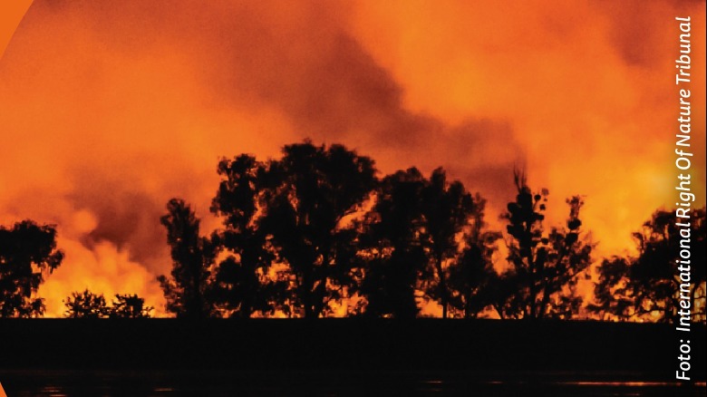 Incendio en la Chiquitania en 2019. Foto: International Right o Nature Tribunal