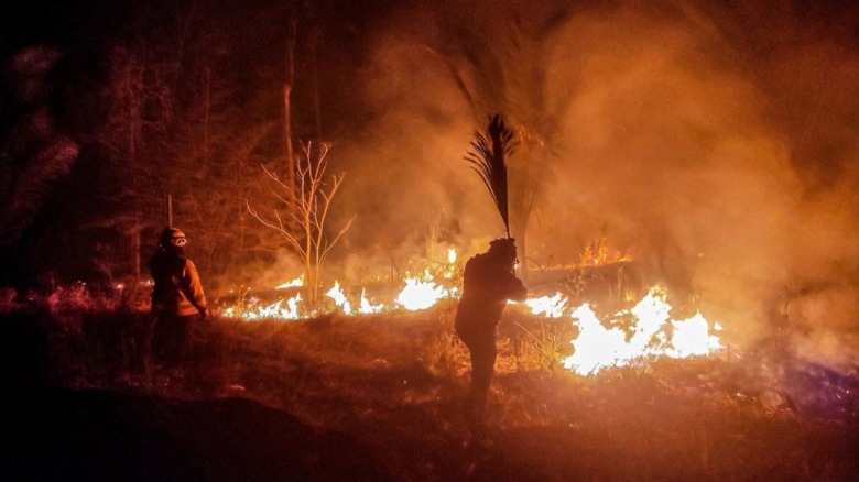 Bomberos en el incendio en Concepción. Foto: ABI