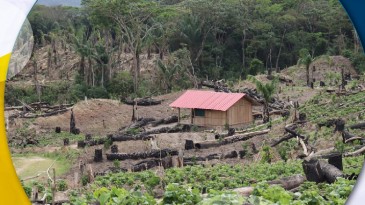 Crisis ecológica y modelo de país: Bolivia ante el desafío del siglo XXI